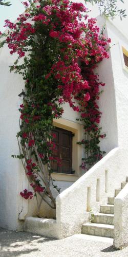 Apartamento Eleftheria Studios