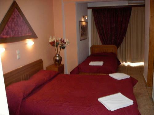 Aiolos Hotel Delphi