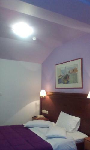 Aiolos Hotel Delphi