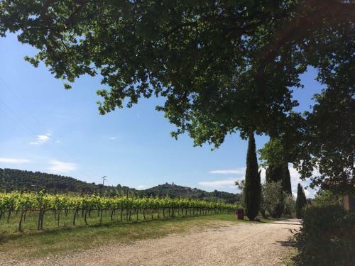 Agroturismo Relais Villa Acquaviva