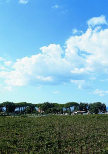 Agroturismo Relais Villa Acquaviva