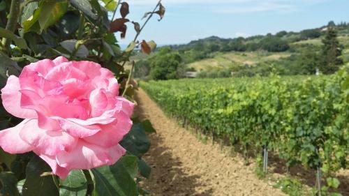 Agroturismo Agriturismo Pescaia