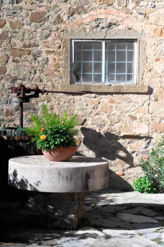 Agroturismo Locanda Del Molino