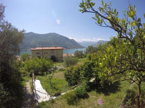 Apartment Danculovic