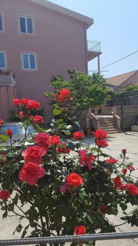 Apartmani Maki
