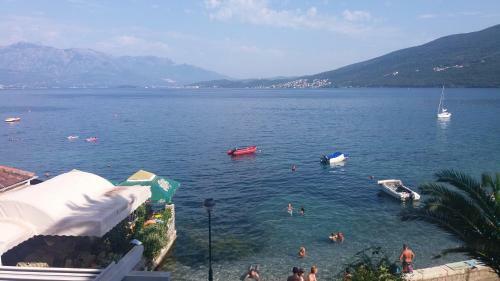 Apartamento Apatments Stanojlovic Djenovic