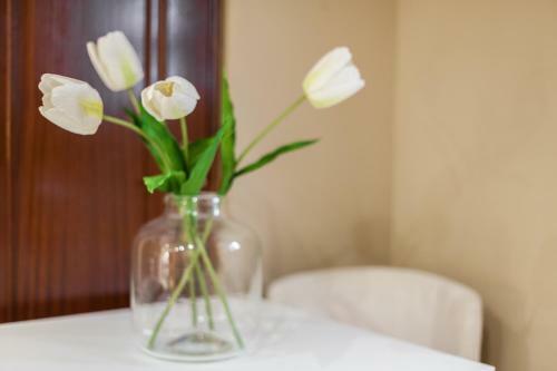 Apartamento Vintage House Santa Catarina