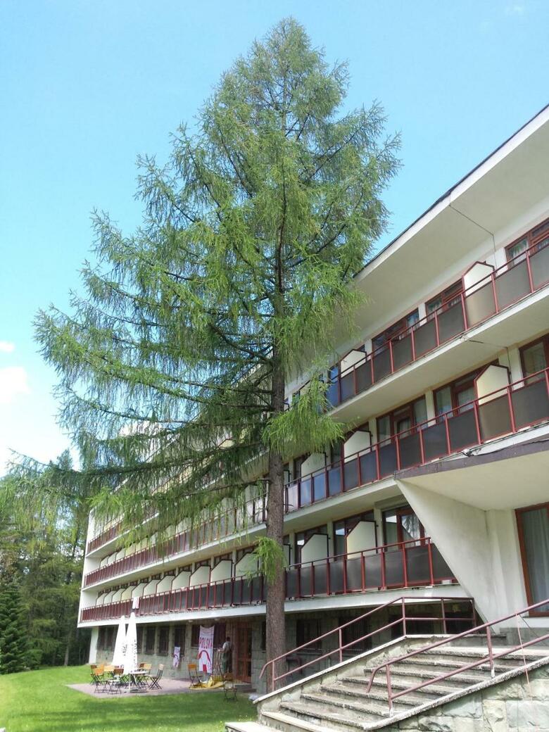 Hotel Geovita Zakopane