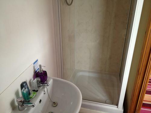 Hostal Bluebell Hotel