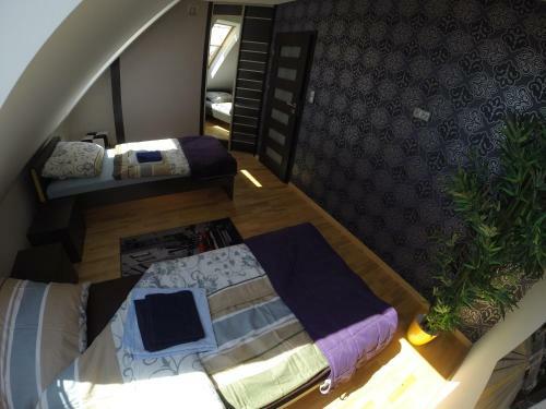 Apartament City