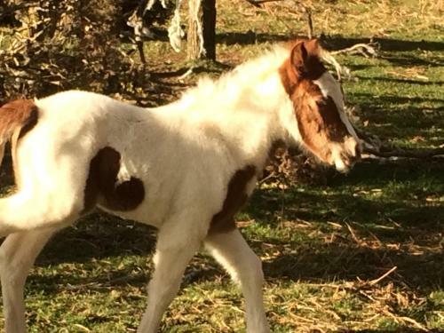 The Priory B&B