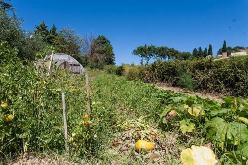Bed & Breakfast Podere Caldaruccio La Pineta