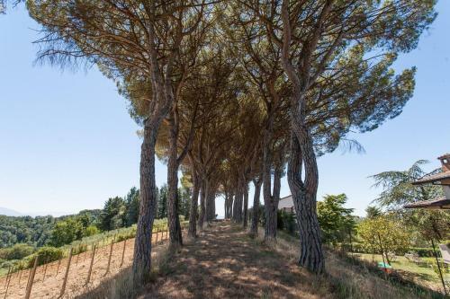 Bed & Breakfast Podere Caldaruccio La Pineta