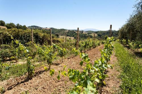 Bed & Breakfast Podere Caldaruccio La Pineta