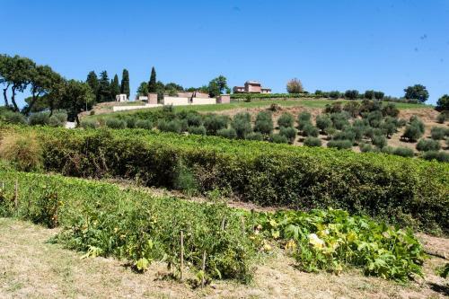 Bed & Breakfast Podere Caldaruccio La Pineta