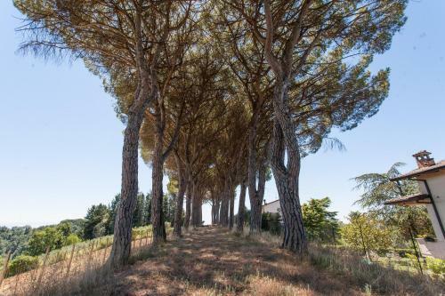 Bed & Breakfast Podere Caldaruccio La Pineta