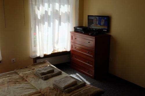 Hostal Academus - Cafe/pub & Guest House