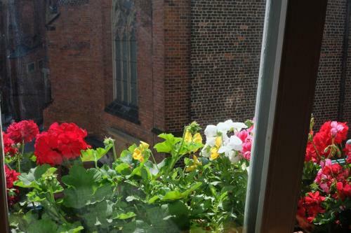 Hostal Academus - Cafe/pub & Guest House