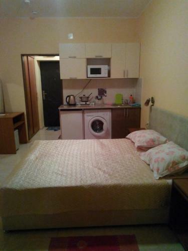 Hotel Pansionat Svetlana