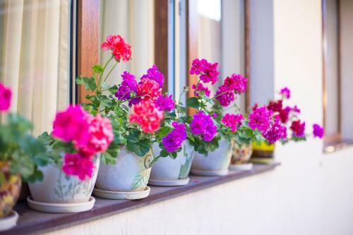 Hostal Guest House Sapfir