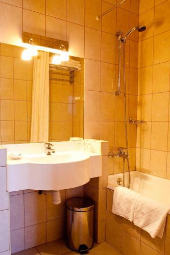 Hotel Izhora