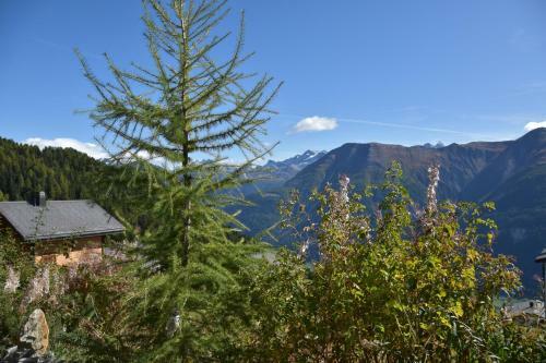 Apartamento Ferienwohnungen A02/a13/a33