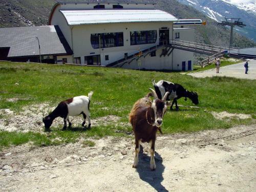 Apartamento Haus Erle