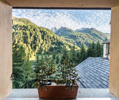 Chalet Stella Alpina - Hotel And Wellness