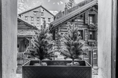 Chalet Stella Alpina - Hotel And Wellness