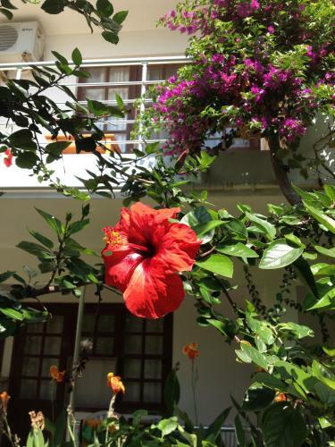 Bed & Breakfast Sidemara
