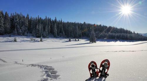 Chalet Le P�lican