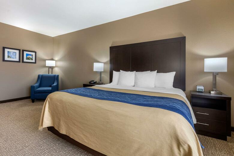 Hotel Comfort Inn And Suites (little Rock)