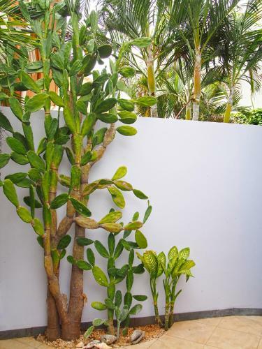 Villa Thoga Vacation Rentals & Tours