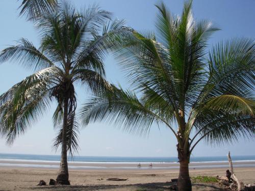 Hotel Playa Bejuco