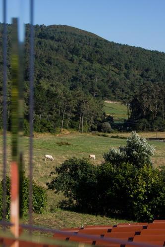 Agroturismo Casa Das Fiadeiras De Nemi�a