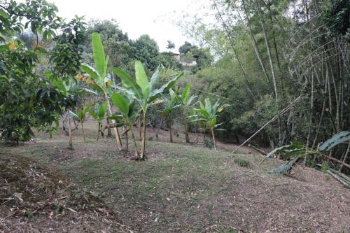 Agroturismo Finca La Lorenza