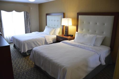 Hotel Homewood Suites By Hilton Brighton