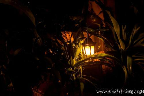 Hotel Joe's Cafe & Garden Resort