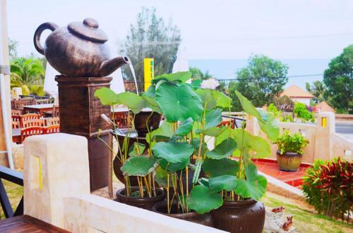 Hotel Melon Resort Mui Ne