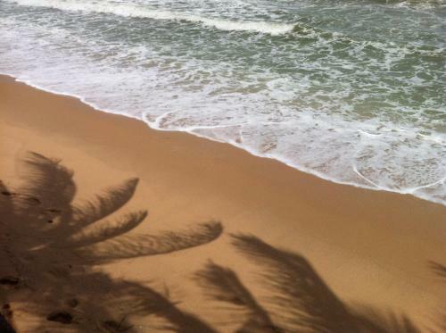 Hotel Mui Ne Paradise Beach Resort