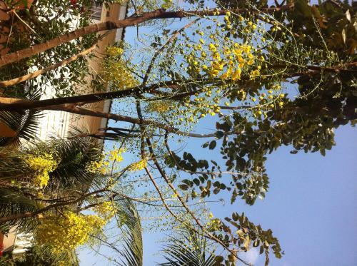 Hotel Mui Ne Paradise Beach Resort