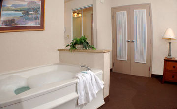 Holiday Inn Hotel & Suites Des
