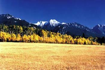 Hotel Best Western Invermere Inn