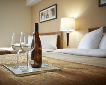 Holiday Inn Express Hotel & Suites Prince Albert