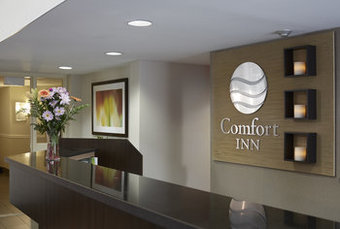 Holiday Inn Express Hotel & Suites Prince Albert
