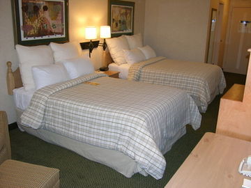 Hotel Holiday Inn Brownsville
