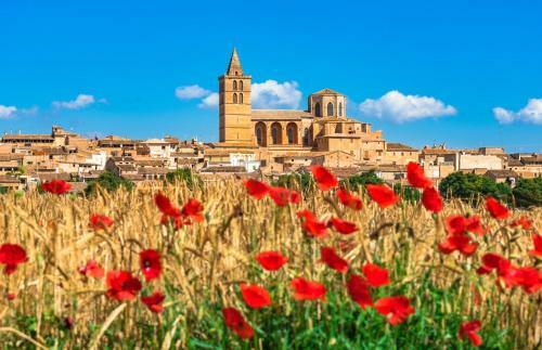 Apartamento Alcudia Beach Gf Ocean View
