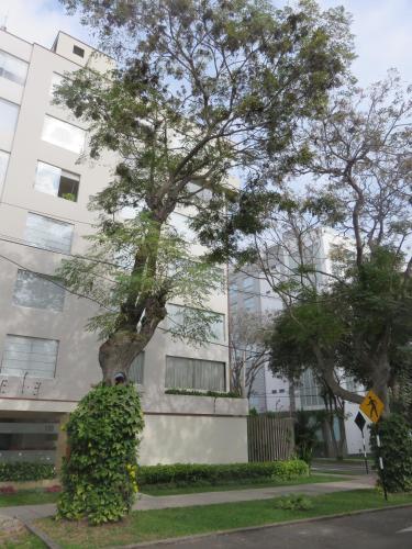 Miraflores Habitaciones Cerca Al Mar