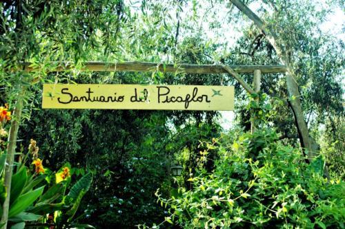 Apartamento Departamento Bernardita De Ginebra