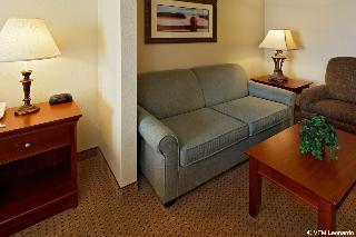 Holiday Inn Express Hotel & Suites Mansfield